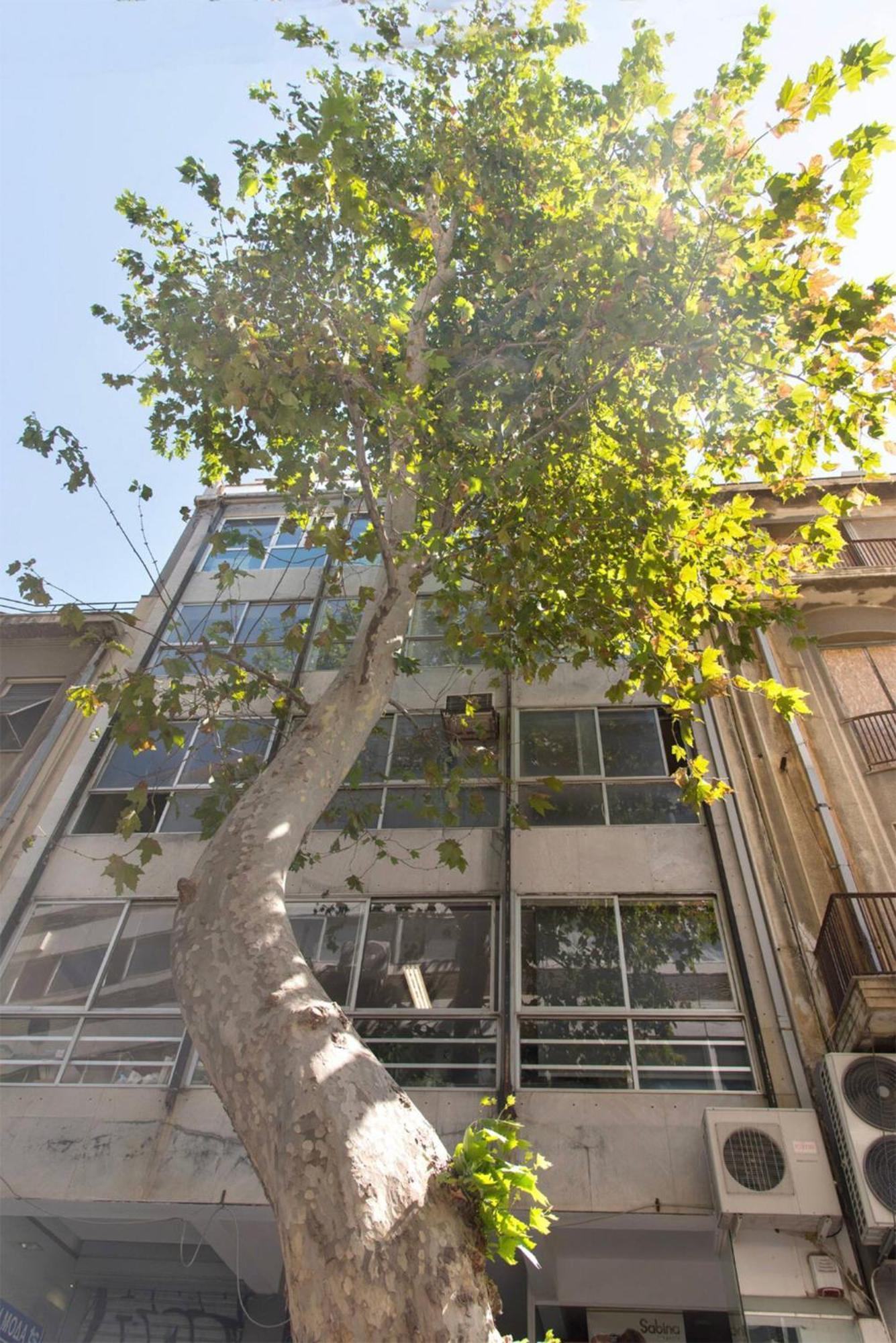 Am16 Suites אתונה מראה חיצוני תמונה